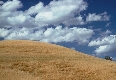 clicca per vedere la foto ingrandita
