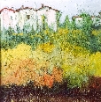 clicca per vedere la foto ingrandita