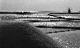 clicca per vedere la foto ingrandita