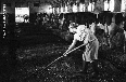 clicca per vedere la foto ingrandita