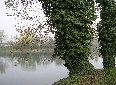 clicca per vedere le foto della galleria
