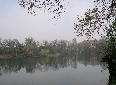 clicca per vedere la foto ingrandita