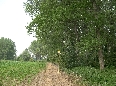 Dietro la Cascina Monticello, nei pressi del Metanodotto