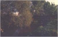 Ponte Cappuccina - Bosco di Montorfano