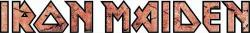 Iron Maiden: Discografia e Formazioni
